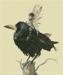 (image for) The Raven Queen